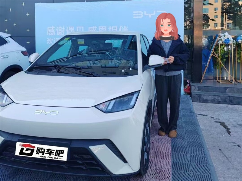 成功案例