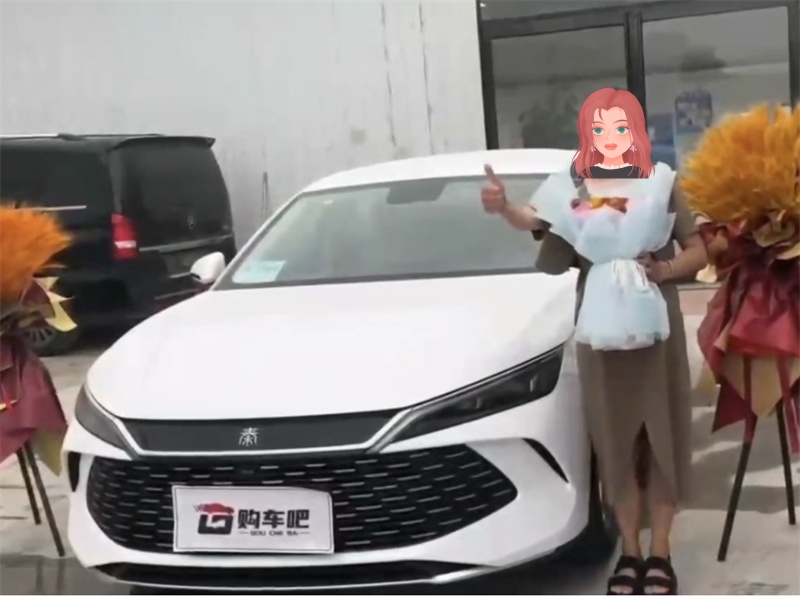成功案例