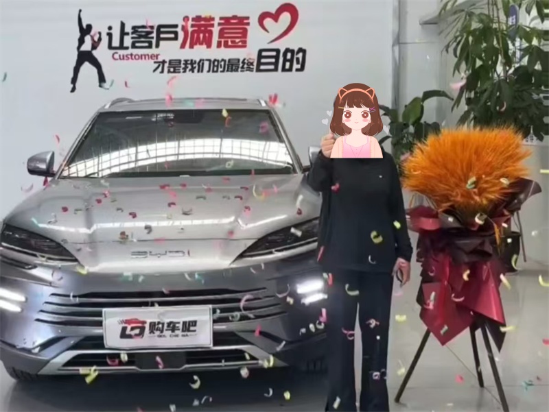 成功案例
